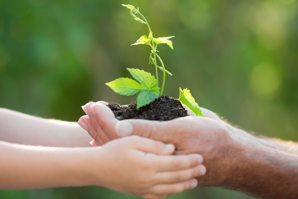 Ethical Investing